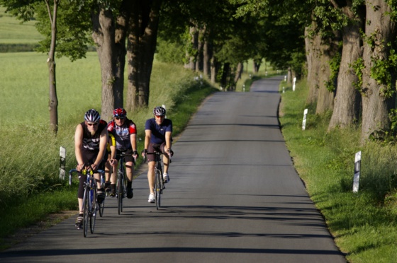 Radfahrer Naturpark Schaalsee