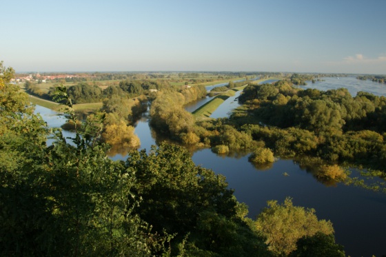 Elbpanorama vom Elwkieker bei Boizenburg