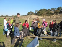 Wanderung mit Ranger auf der größten Binnendüne an der Elbe